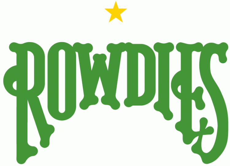 Tampa Bay Rowdies 2012 Primary Logo t shirt iron on transfers